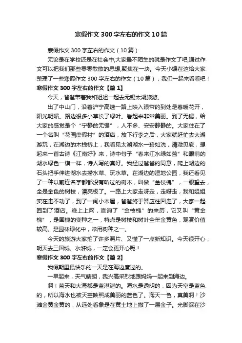 寒假作文300字左右的作文10篇