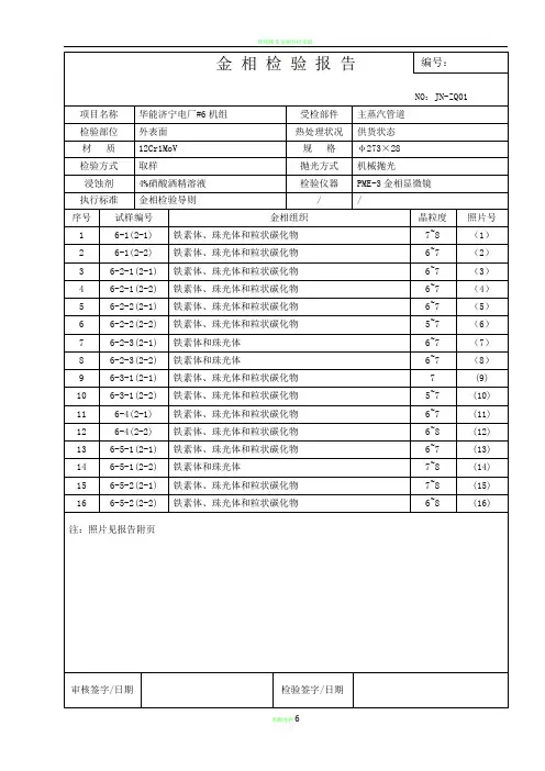 金相检验报告