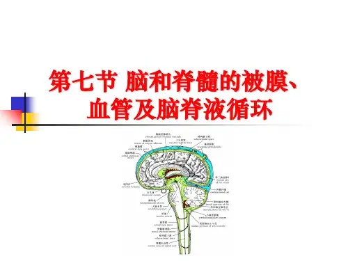 脑和脊髓的被膜 -PPT精选文档