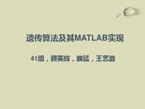 遗传算法及其MATLAB实现
