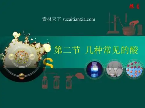 几种常见的酸 PPT教学课件2 人教版