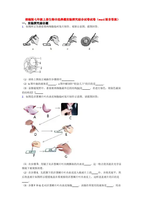 部编版七年级上册生物非选择题实验探究综合试卷试卷(word版含答案)