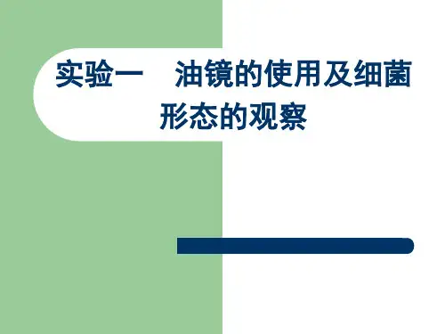 实验一  油镜的使用及细菌形态的观察
