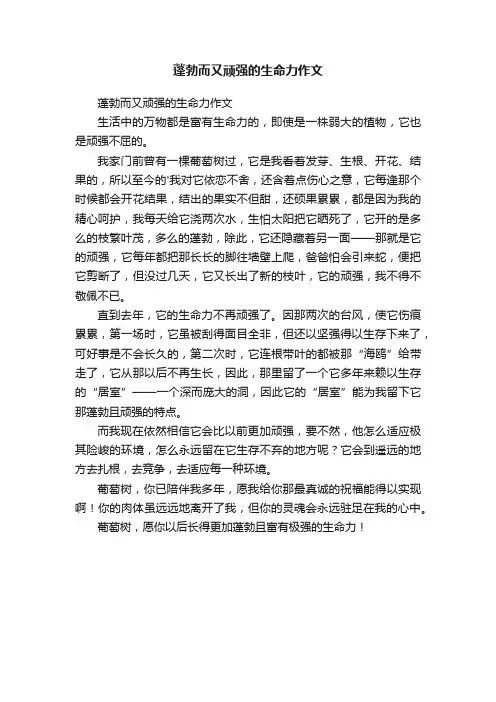 蓬勃而又顽强的生命力作文