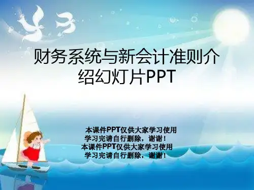 财务系统与新会计准则介绍幻灯片PPT