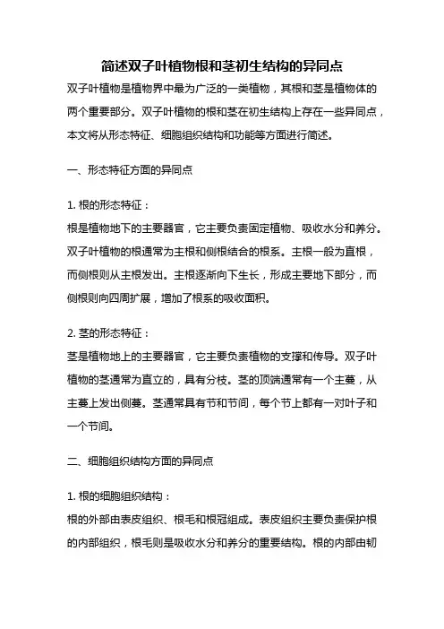 简述双子叶植物根和茎初生结构的异同点