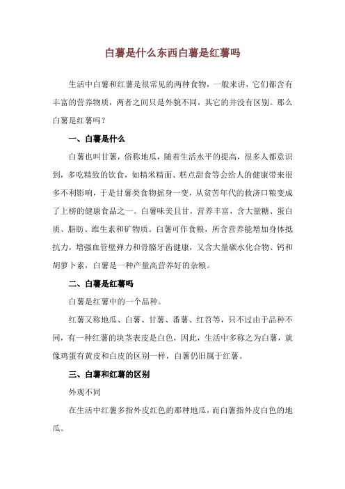 白薯是什么东西 白薯是红薯吗
