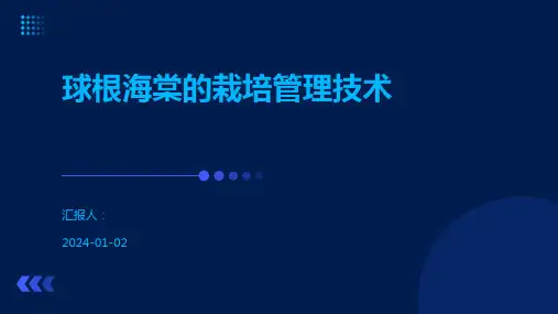 球根海棠的栽培管理技术