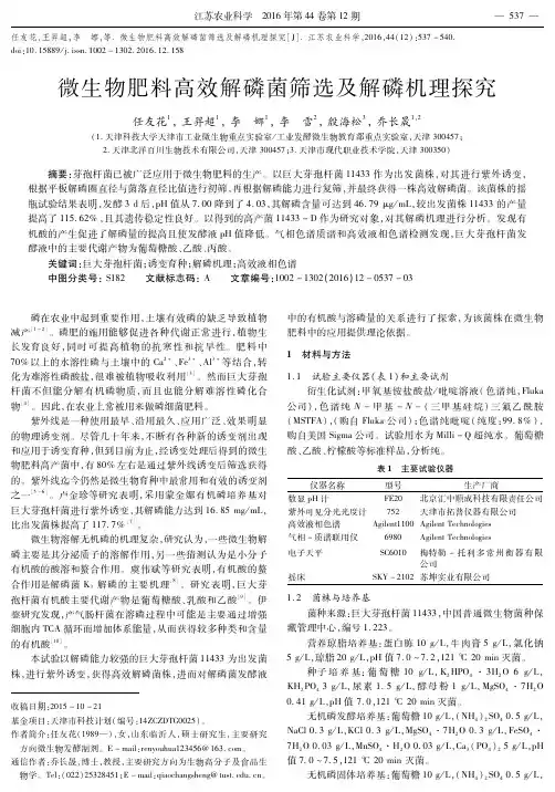 微生物肥料高效解磷菌筛选及解磷机理探究