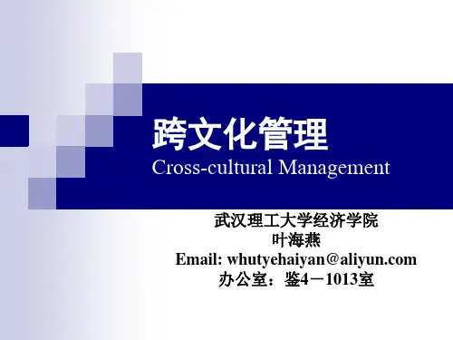 跨文化管理——王朝晖