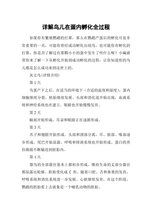 详解鸟儿在蛋内孵化全过程