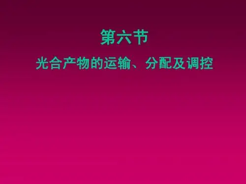 第3章  第六节有机物的运输与分配