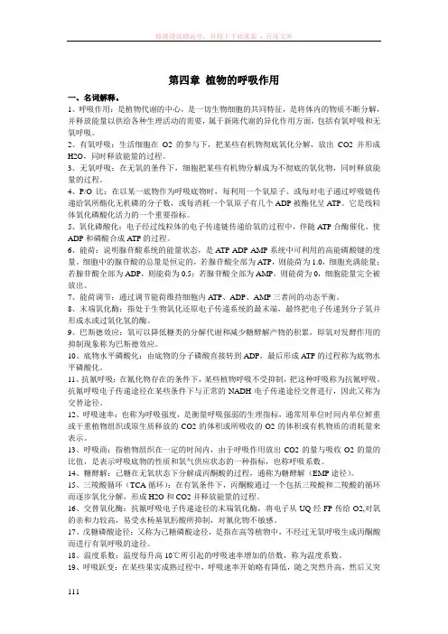 植物的呼吸作用