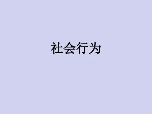 人教版八年级上册生物  5.2.3 社会行为 课件   (共21张PPT)