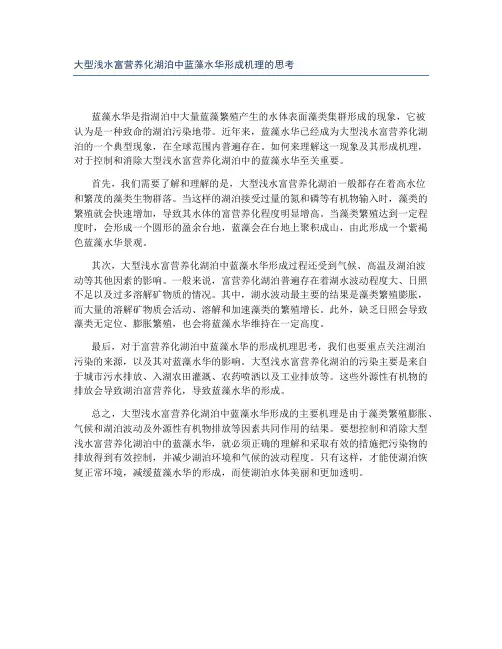 大型浅水富营养化湖泊中蓝藻水华形成机理的思考