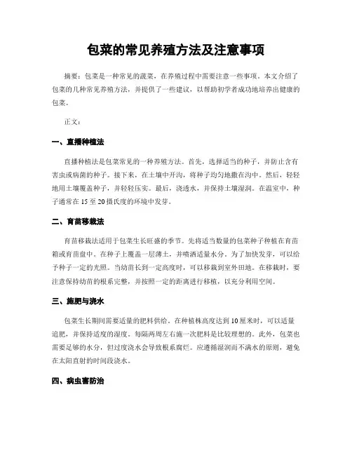 包菜的常见养殖方法及注意事项