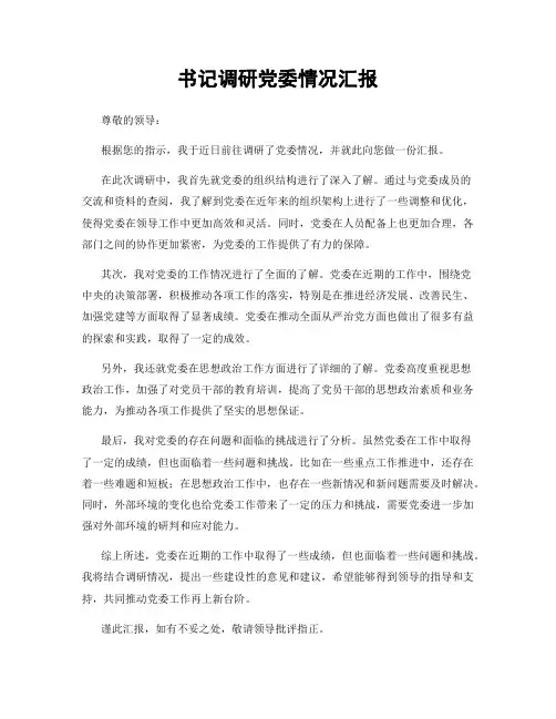 书记调研党委情况汇报