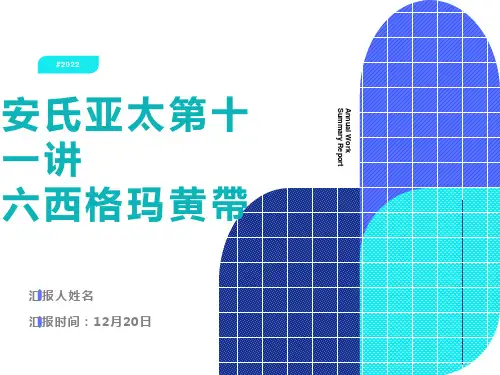安氏亚太第十一讲六西格玛黄带