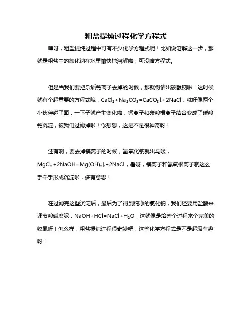 粗盐提纯过程化学方程式