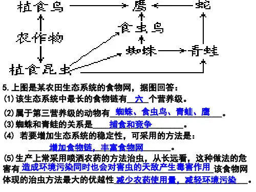 人教版高中生物必修三第五章第二节—5.2生态系统的能量流动(共31张PPT)