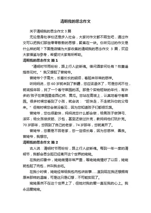 清明我的思念作文