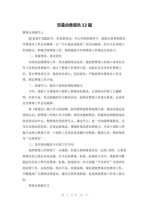 禁毒自查报告12篇
