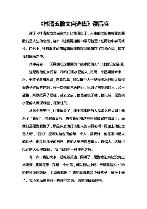 《林清玄散文自选集》读后感
