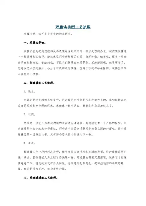 双膜法典型工艺流程