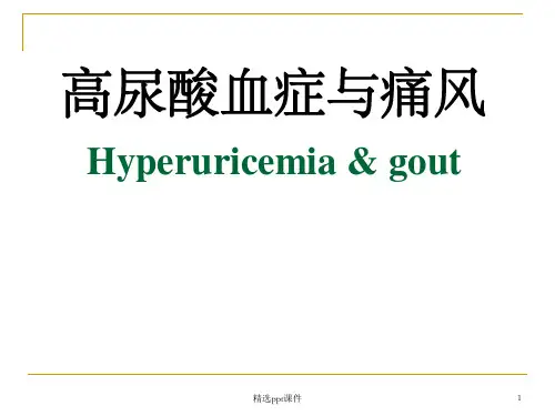 《痛风病防治培训》PPT课件