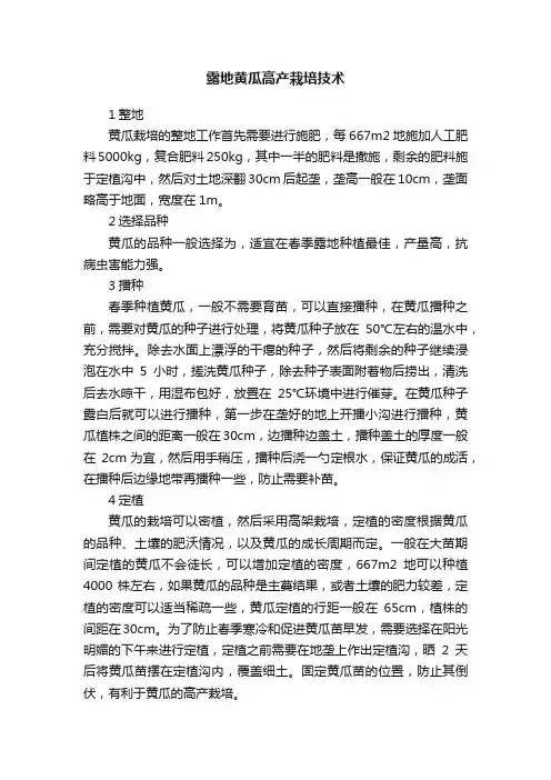 露地黄瓜高产栽培技术