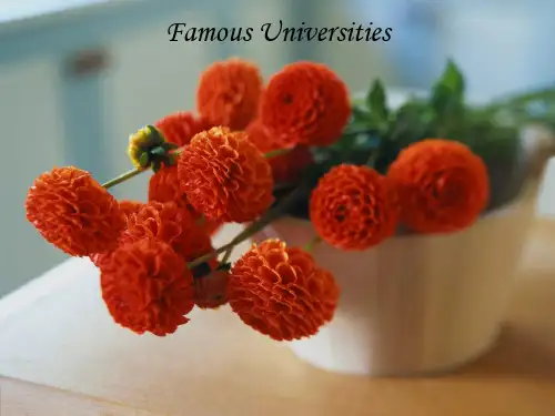 Book 2 Unit 1 Universities