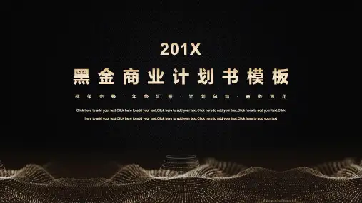 黑金商业计划书通用ppt模板