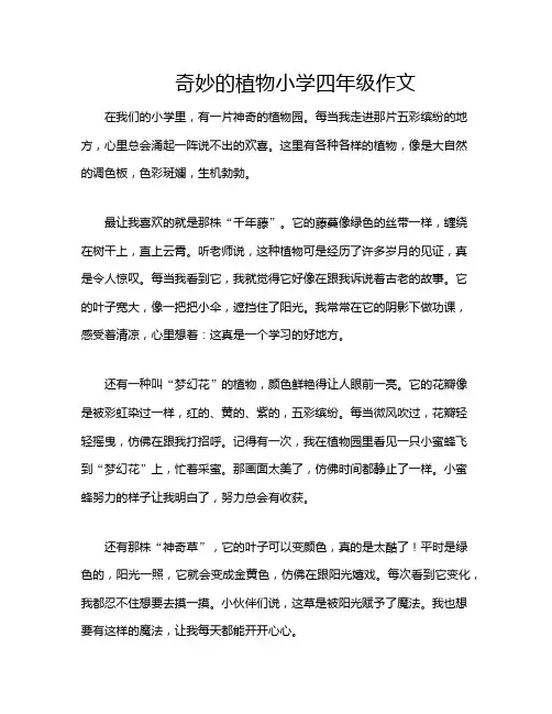 奇妙的植物小学四年级作文