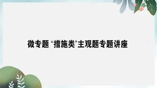 高考政治一轮复习第三单元中华文化与民族精神微专题“措施类”主观题专项训练课件新人教版必修3