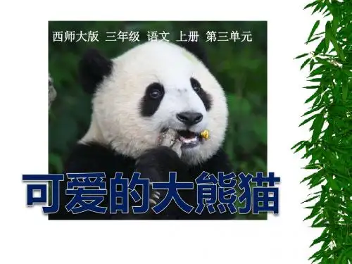 《可爱的大熊猫》PPT课件2
