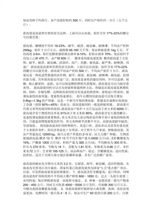 甜高粱介绍
