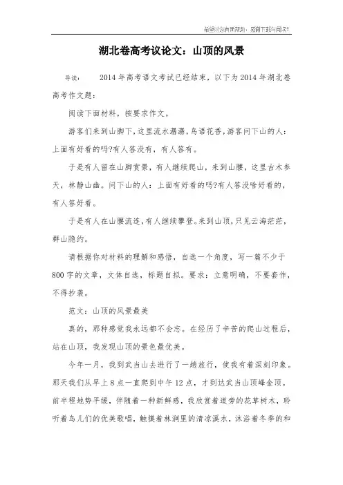 湖北卷高考议论文：山顶的风景