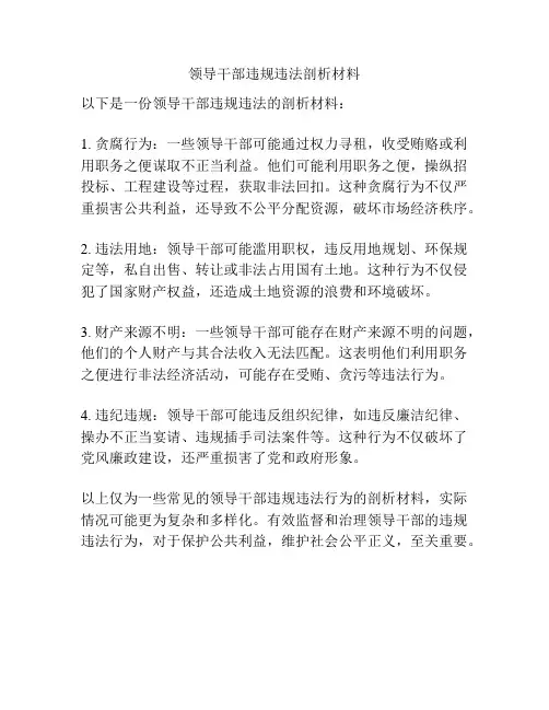 领导干部违规违法剖析材料