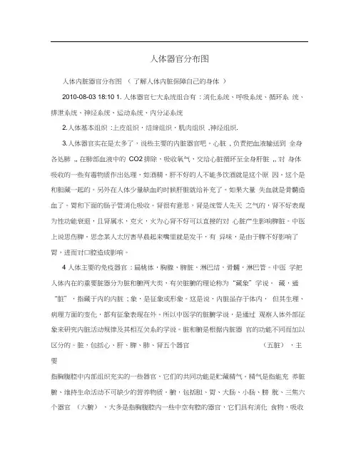 人体器官分布图