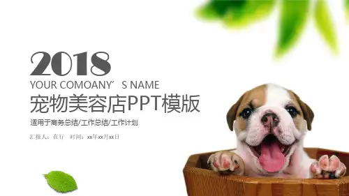 宠物美容店工作总结计划清新卡通宠物通用动态PPT模板素材方案