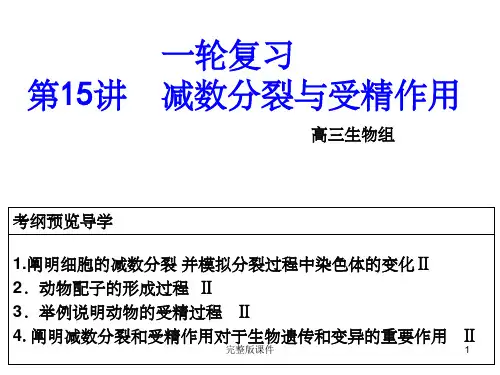 一轮复习减数分裂(公开课使用)ppt课件
