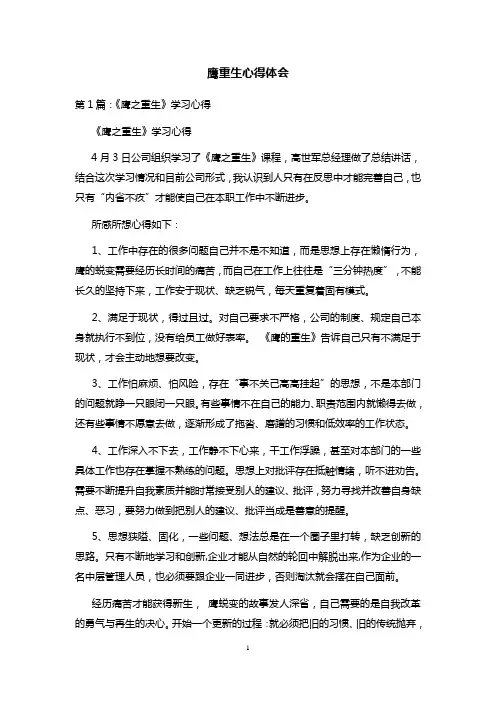 鹰重生心得体会 