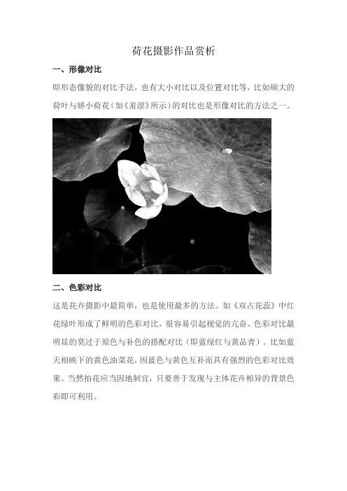 荷花摄影作品赏析