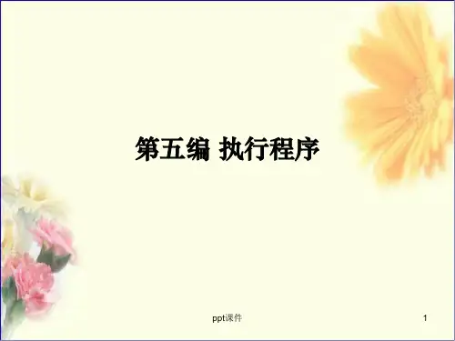 民事诉讼法 第五编 执行程序ppt课件