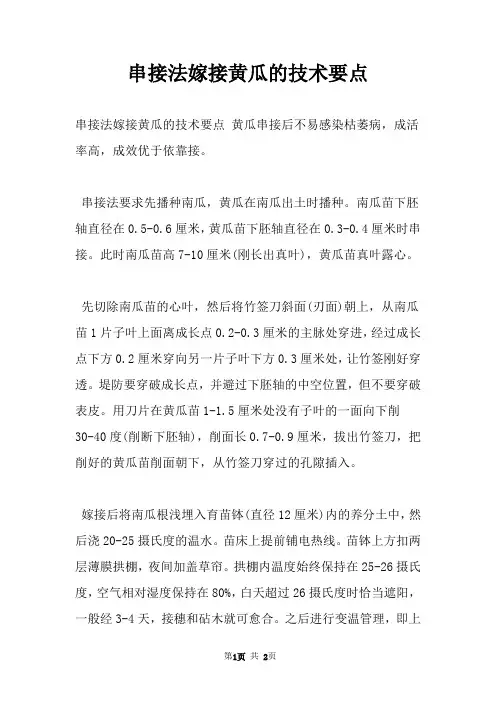串接法嫁接黄瓜的技术要点