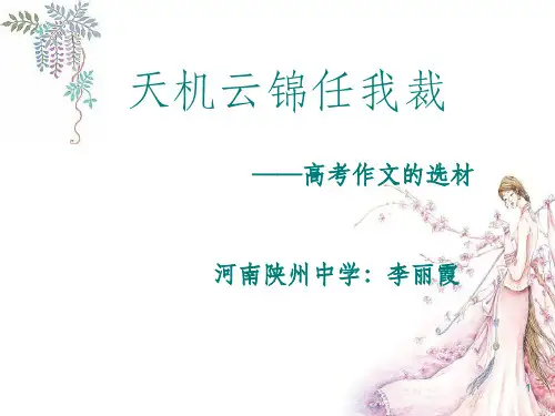 高考作文的选材PPT课件