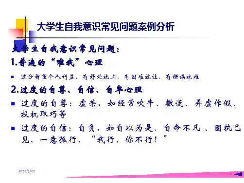 大学生自我意识常见问题案例分析和自我和谐量表