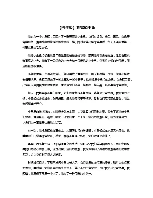 【四年级】我家的小鱼