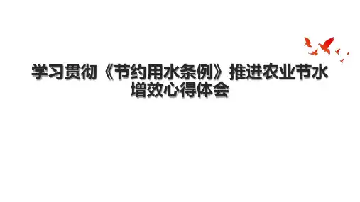学习贯彻《节约用水条例》推进农业节水增效心得体会.pptx