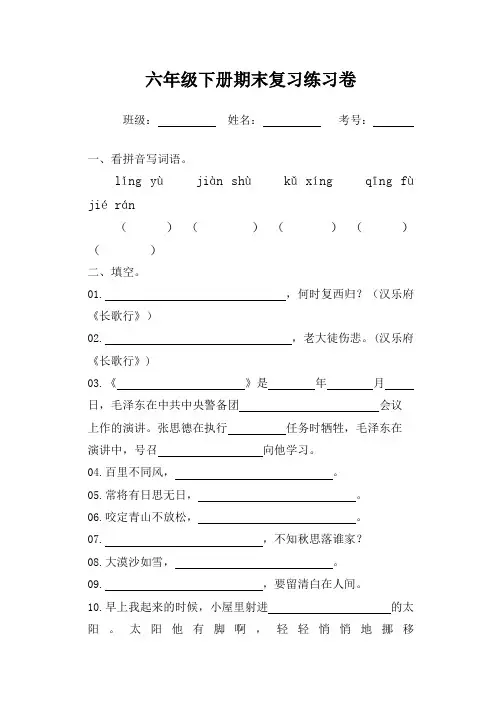 六年级语文下册期末复习练习卷